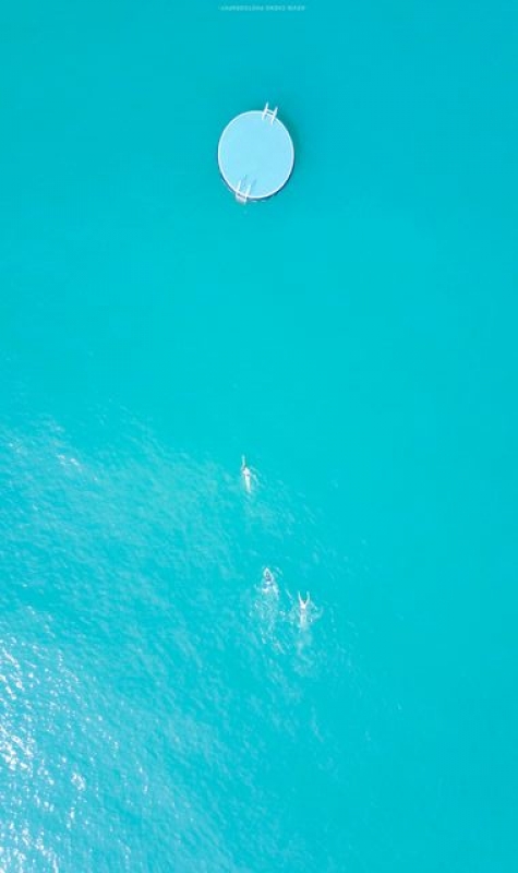 他把飛機放上天空跟著這三個人從長洲的海游出去，當時他並不知道他們的終點是浮台，而這讓他想到「青春」