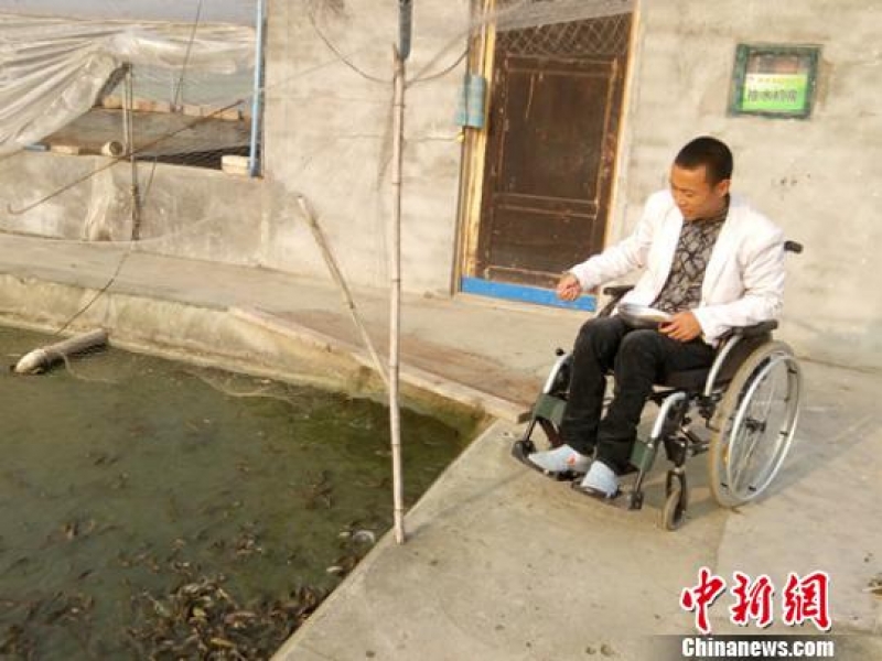 重度殘疾人劉家學：輪椅上的水產養殖致富“明星”
