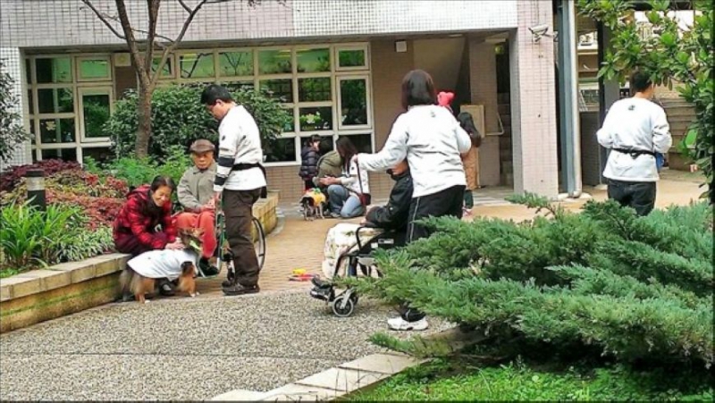 狗醫生陪伴長者