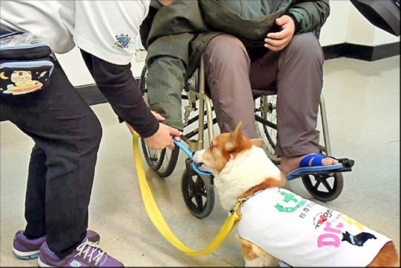坐在輪椅上的長者拿著湯匙餵狗醫生，可以訓練手部肌肉