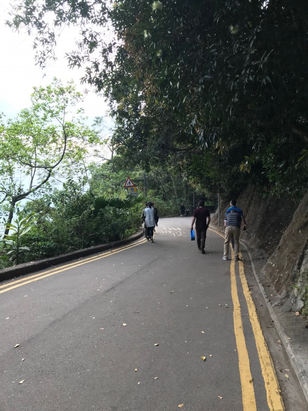 卢吉道沿路风景