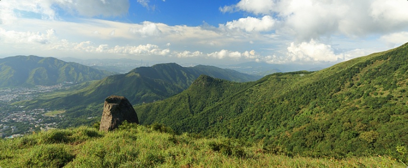 香港「綠洲」