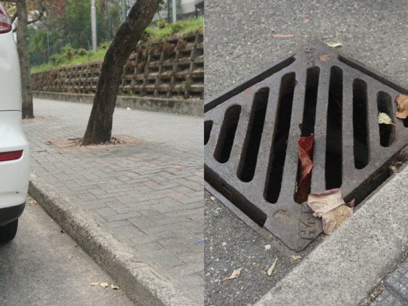 Rabi 提到，路边有阶级（左）、渠盖（右）的车位，都是会让残疾人士难以泊车上落