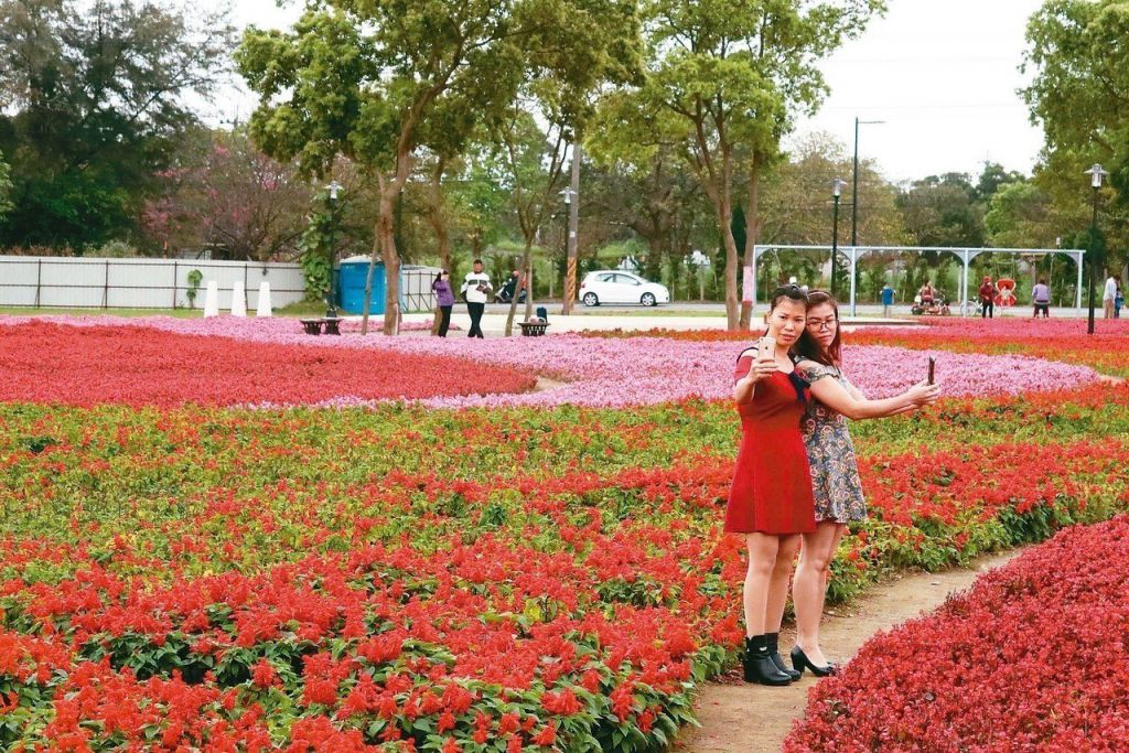 桃园市八德霄里花海公园，前身是八德第一公墓，迁葬之后经过绿美化，摇身一变成为花海景点