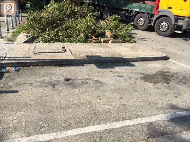 康文署以非其管辖范围为由，拒绝将泳滩入口处的石壆改建为斜道