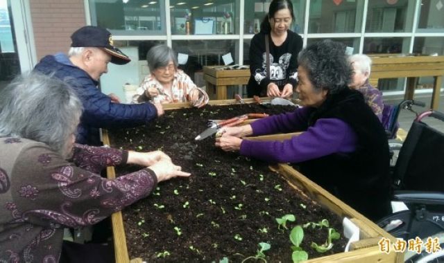 护理之家打造纾压花台 方便轮椅长者种菜赏花