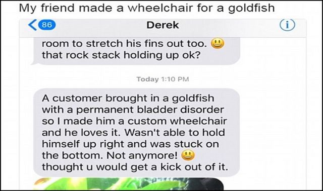 美水族馆职员制轮椅架　让金鱼重生游得开心