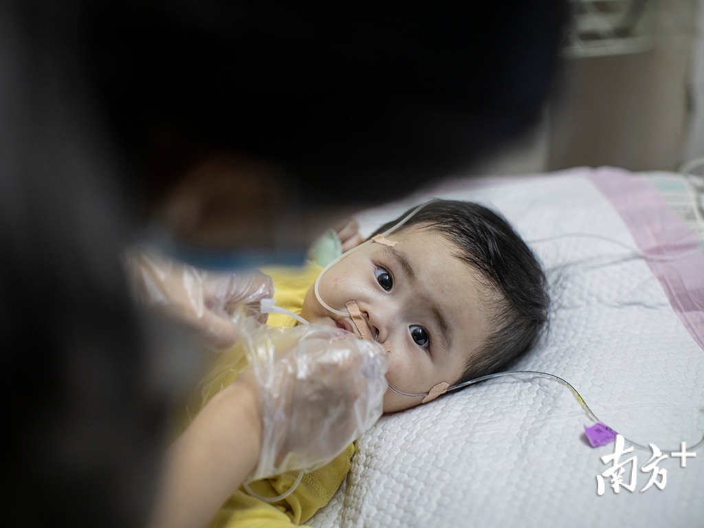 「米粒」十分可愛。