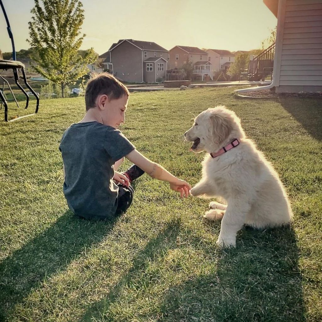 小朋友和狗狗一起成长，能互相扶持，加强他们的责任心。