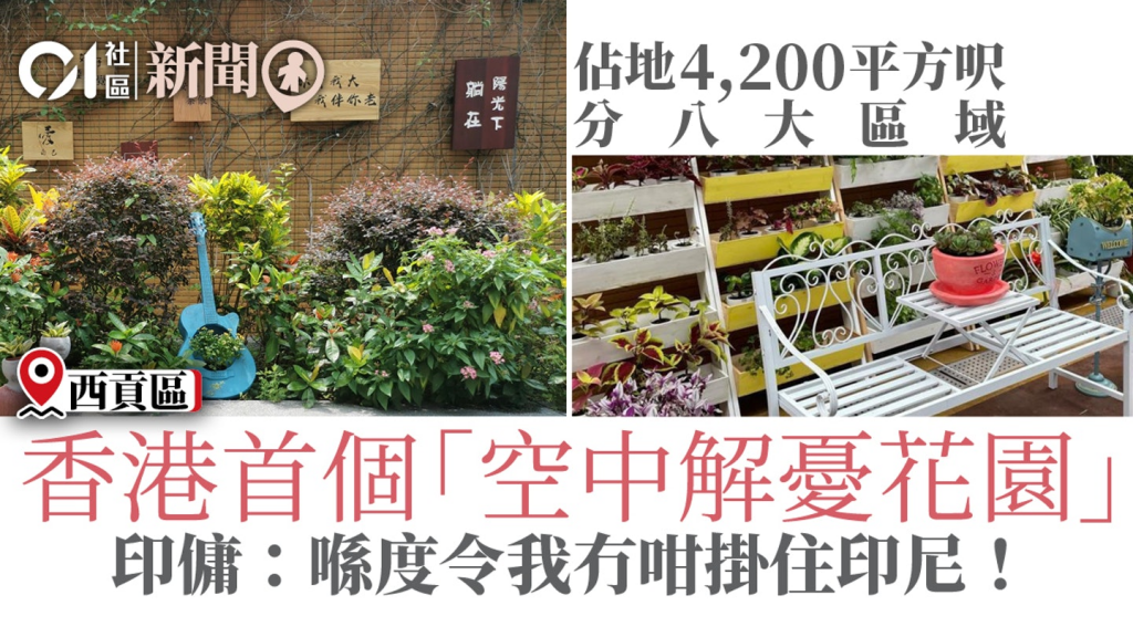 香港首個「解憂花園」啟動　護老者：從栽種獲得治癒