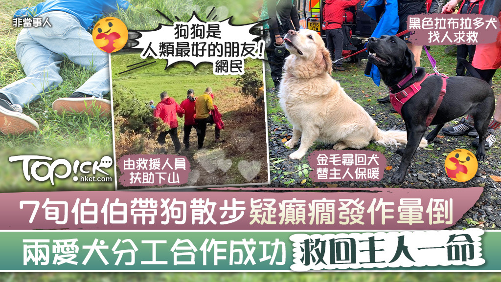 【醒目愛犬】7旬伯伯帶狗散步疑癲癇發作暈倒　兩愛犬分工合作救回主人一命