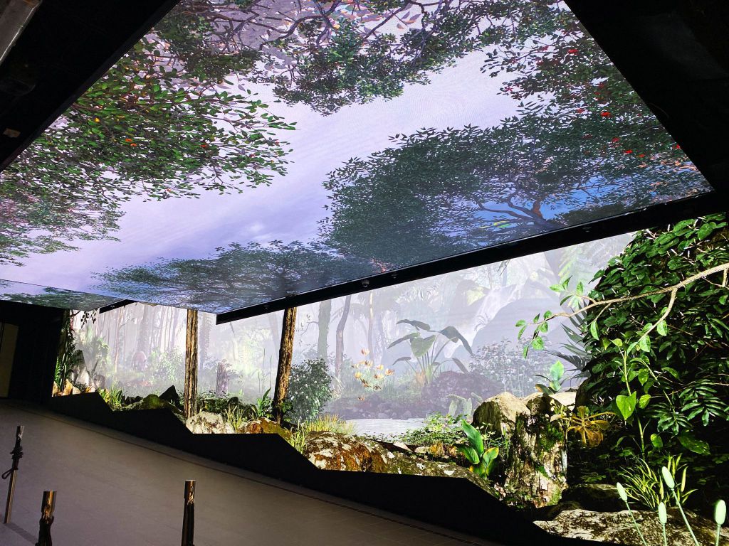 《太平山的綠色寶藏》提供環繞式影像為遊客帶來沉浸式體驗，讓遊客置身於太平山多樣化動植物的超現實世界中。