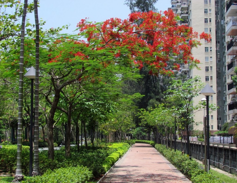 假日好去處-荔枝角公園 | FG ♿ Blog|Hong Kong one-stop ♿ Accessible Information ...